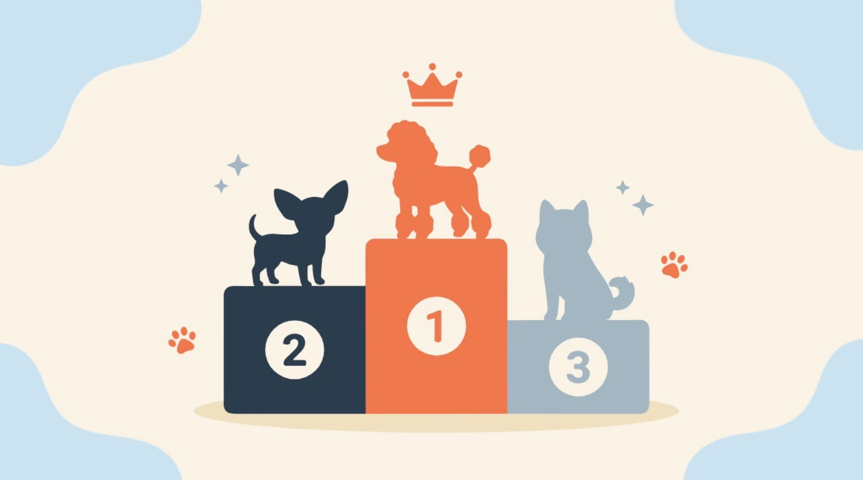 人気犬種ランキングTOP10|特徴とトリミングのポイント
