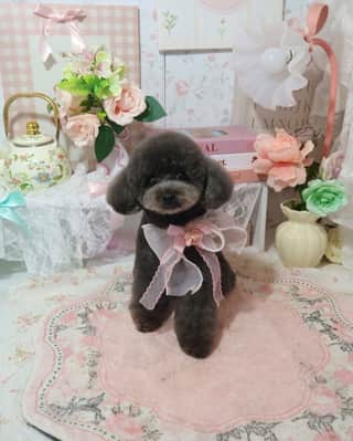 5月のじるちゃん